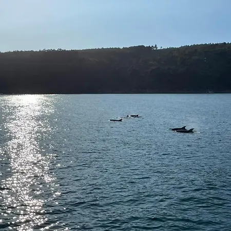 Casa Grila Casa vacanze *