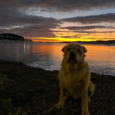 Casa Grila Casa vacanze *