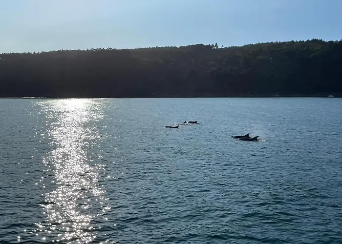 Casa Grila Prázdninový dům *