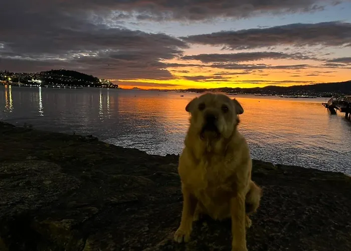 Casa Grila Prázdninový dům *